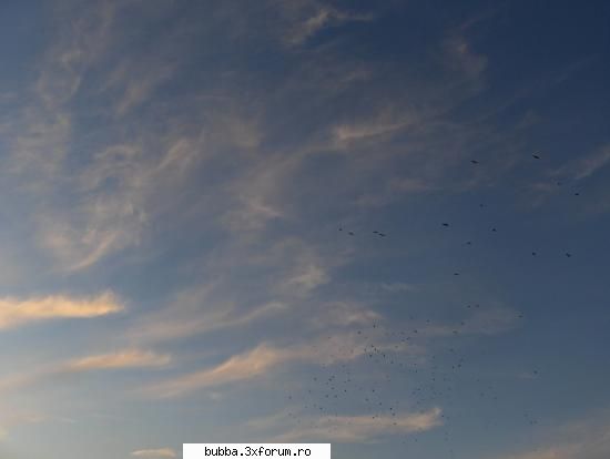 the lovely sky .. photos