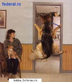 poze comice - iioana84 - <|Funny Pics|>