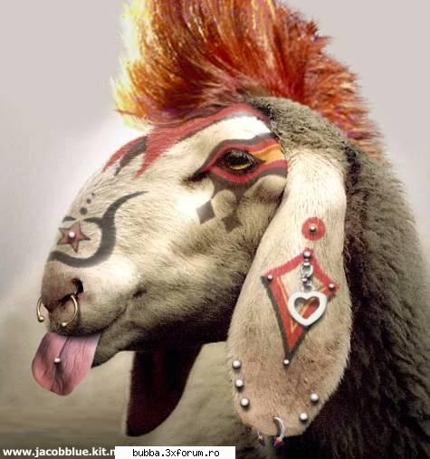 poze comice - iioana84 - <|Funny Pics|>