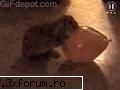 poze comice - iioana84 - <|Funny Pics|>
