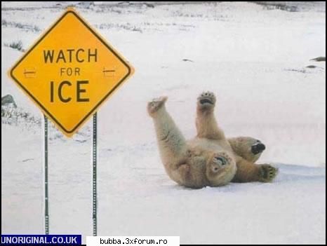 poze comice - iioana84 - <|Funny Pics|>