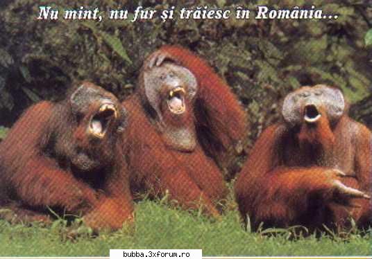 poze comice - crisstyano - <|Funny Pics|>